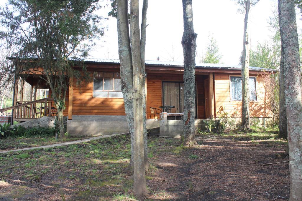 Apart Hotel Puchaley Lafquen Panguipulli Zewnętrze zdjęcie